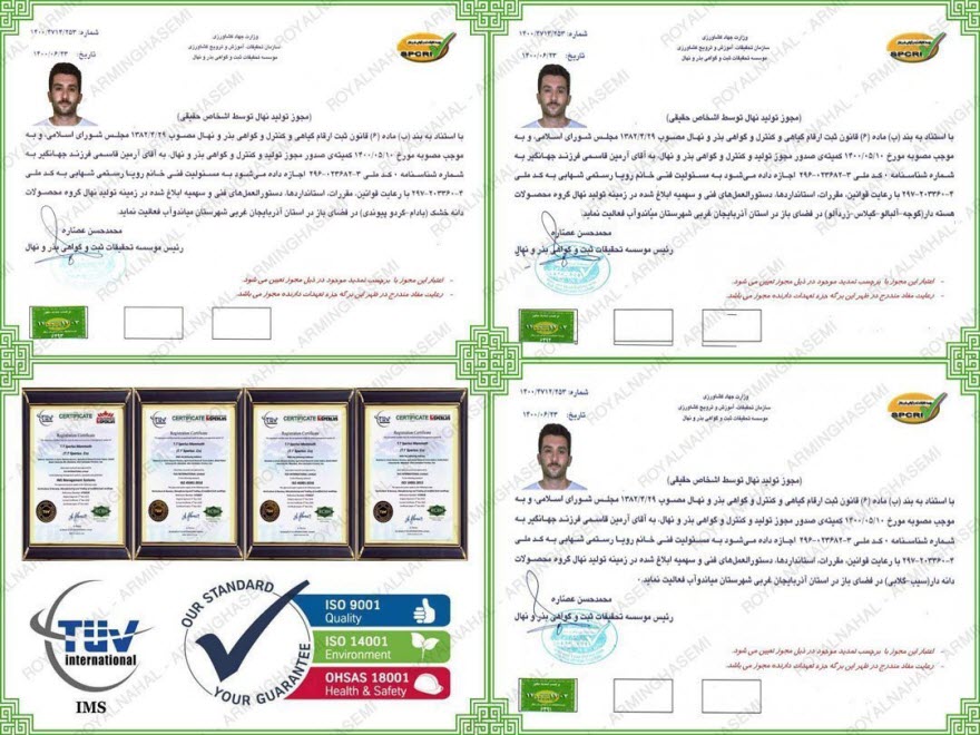 مجوز تولید نهال گردو فرنور