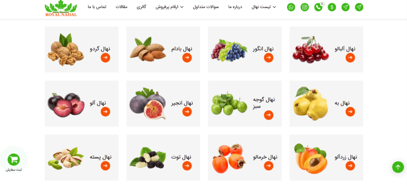 خرید انواع نهال از رویال نهال